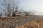 NS 3646 emerges from the fog